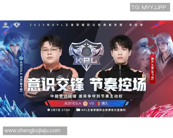 王者荣耀巨献：深入解析TES战队的实力与战术魅力