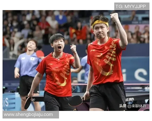 西安乒乓球队技术表现数据分析与战术优化研究探讨